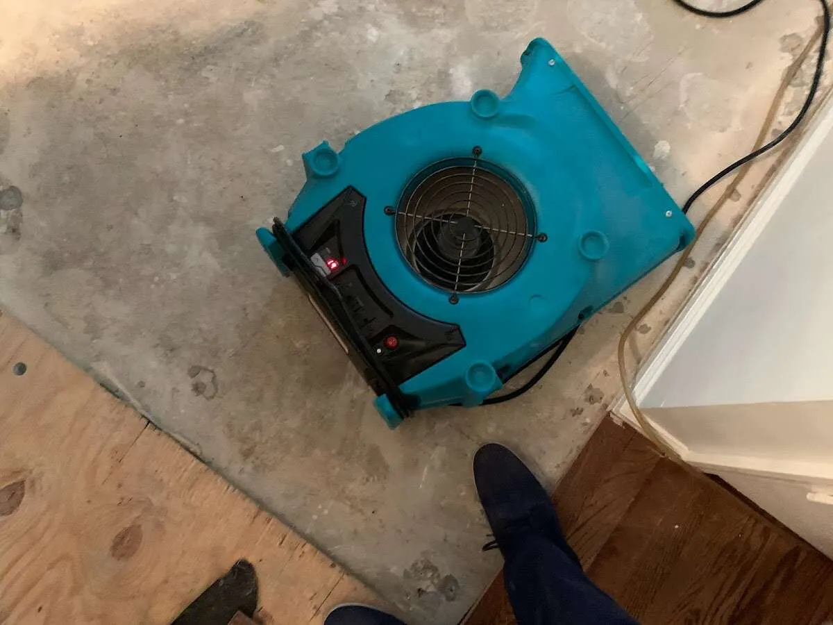 Air mover drying subfloor during Commercial Water Damage Restoration in East Norriton